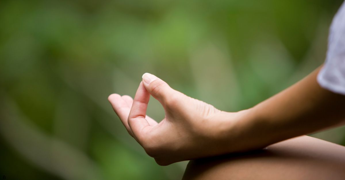 Reserve Your Spot – Bay Books Yoga Retreat (Early Access Deposit)