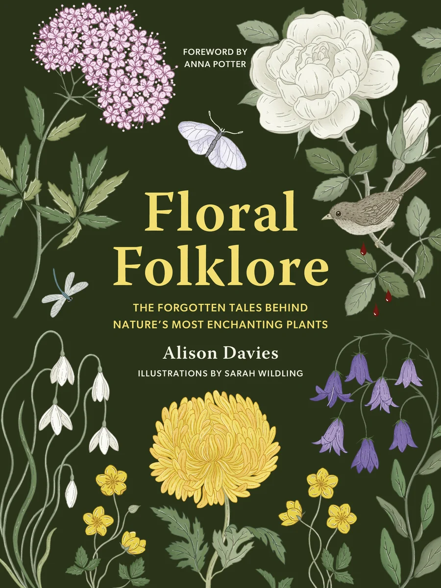 Floral Folklore: The Forgotten Tales Behind Nature’s Most Enchanting Plants