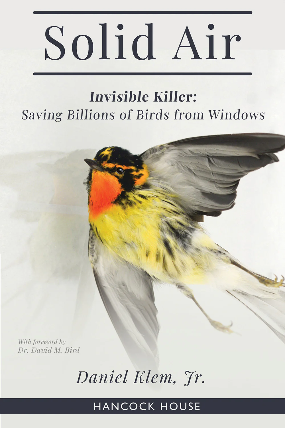 Solid Air: Invisible Killer: Saving Billions of Birds from Windows