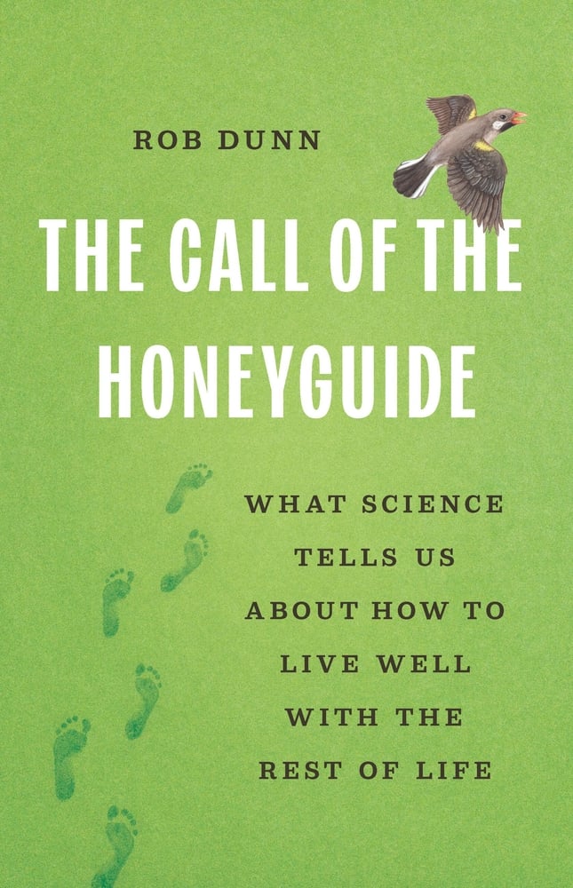 The Call of the Honeyguide: What Science Tells Us About How to Live Well with the Rest of Life
