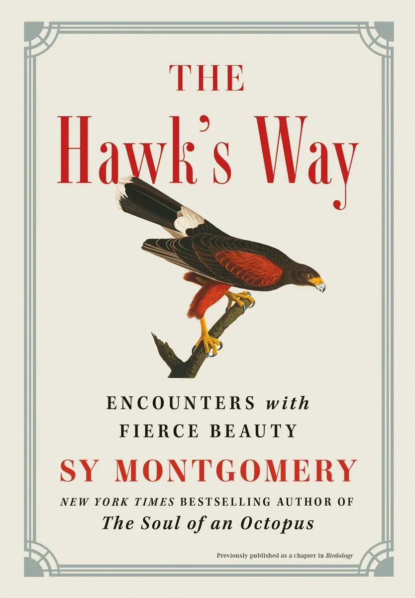 The Hawk’s Way: Encounters with Fierce Beauty