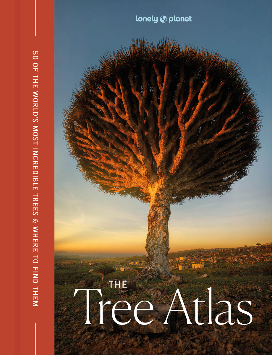 Lonely Planet: The Tree Atlas: The World’s Most Amazing Trees and Where to Find Them