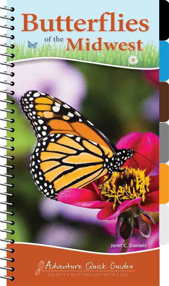 Butterflies of the Midwest: Adventure Quick Guides
