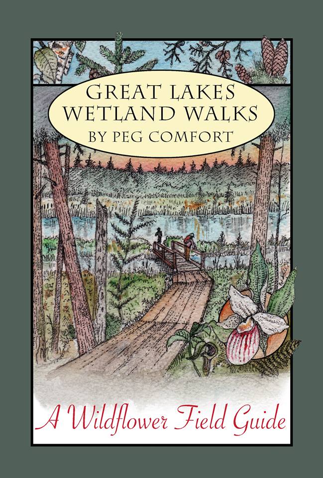 Great Lakes Wetland Walks: A Wildflower Field Guide
