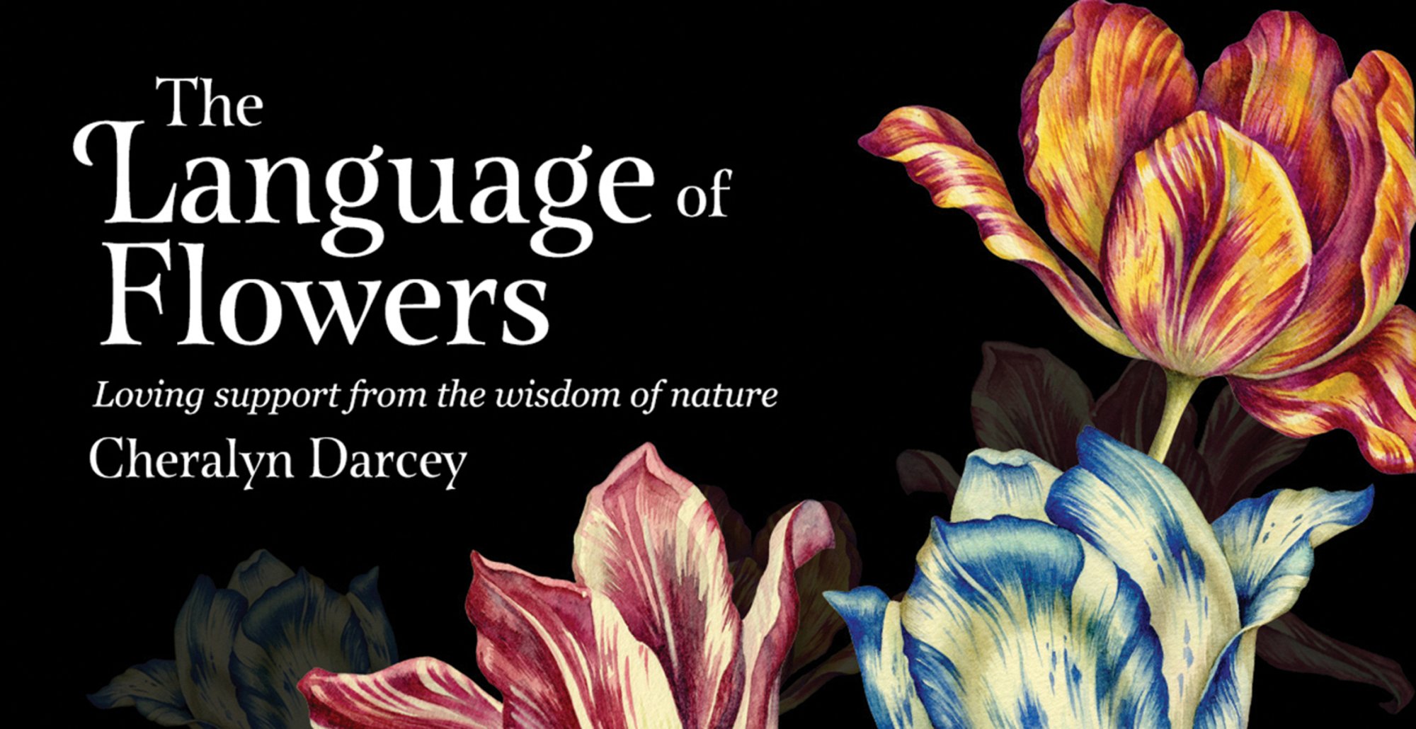 The Language of Flowers Cards