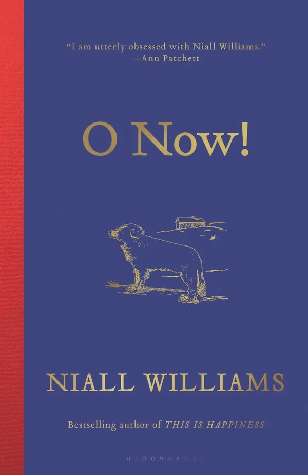 O Now! By Niall Williams